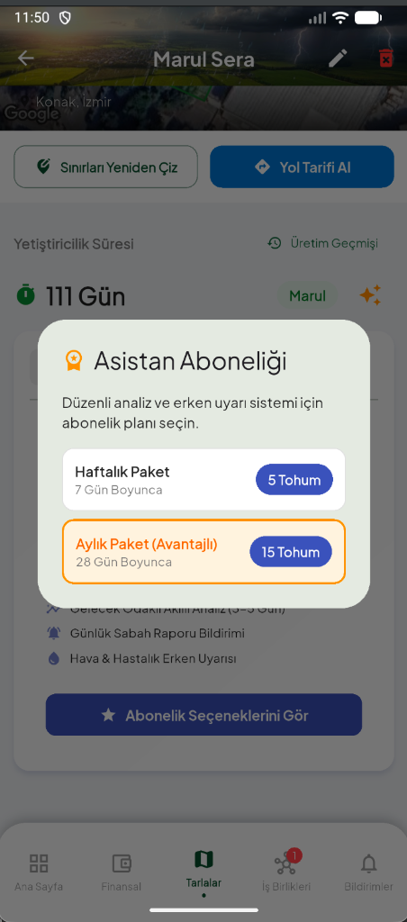 Abonelik