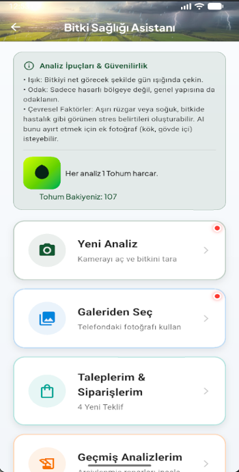 Analiz Başlangıcı