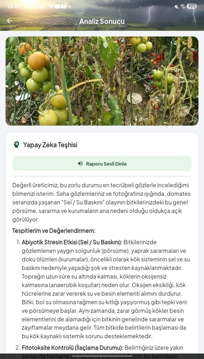 Teşhis Raporu