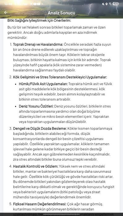 Çözüm Önerileri