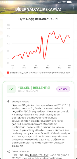 Domates Fiyat Analizi