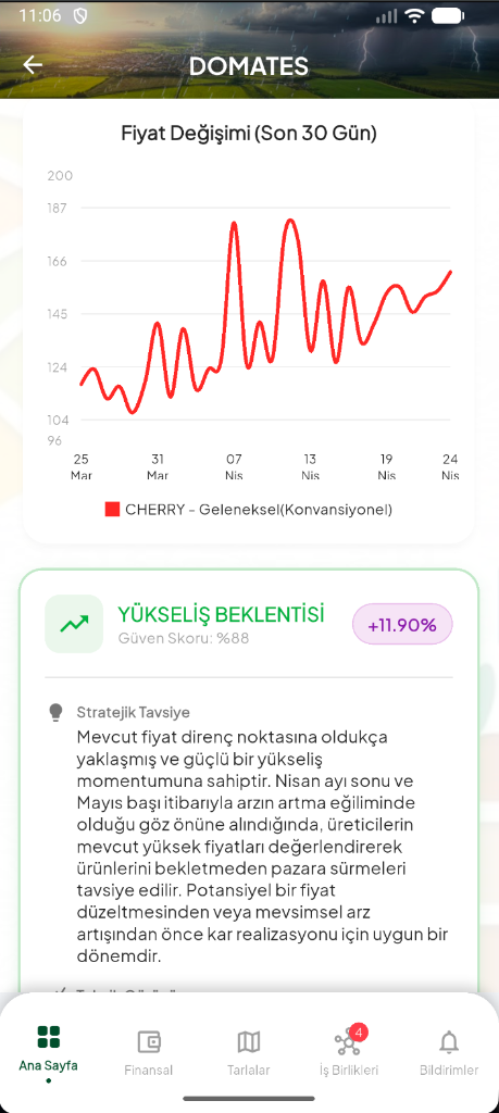 Biber Fiyat Analizi